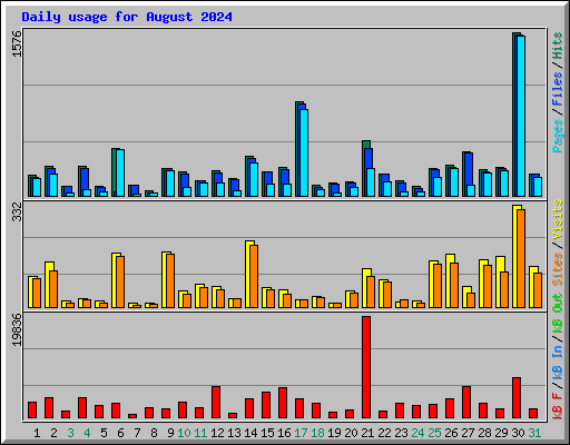 Daily usage for August 2024