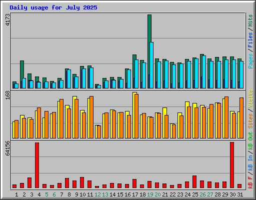 Daily usage for July 2025