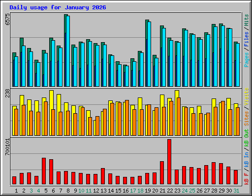 Daily usage for January 2026