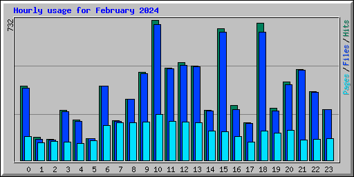 Hourly usage for February 2024