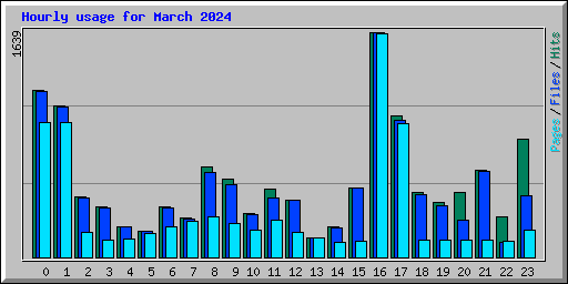 Hourly usage for March 2024