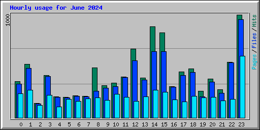 Hourly usage for June 2024