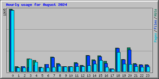 Hourly usage for August 2024