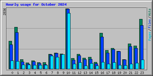 Hourly usage for October 2024