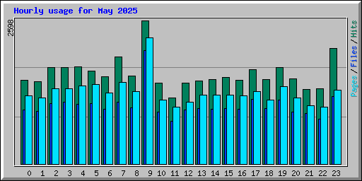 Hourly usage for May 2025