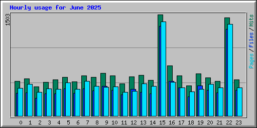 Hourly usage for June 2025