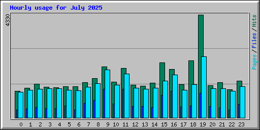 Hourly usage for July 2025