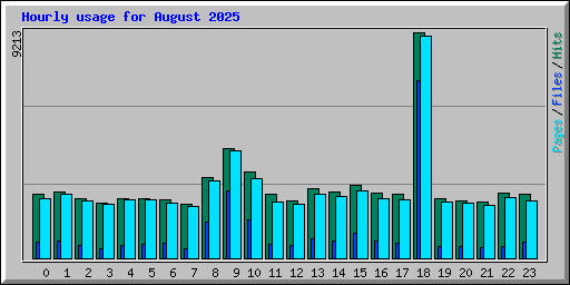 Hourly usage for August 2025