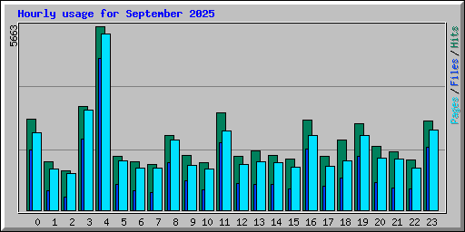 Hourly usage for September 2025