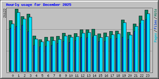 Hourly usage for December 2025