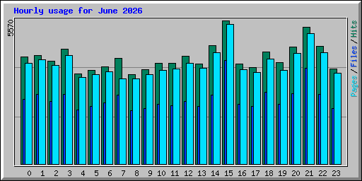 Hourly usage for June 2026